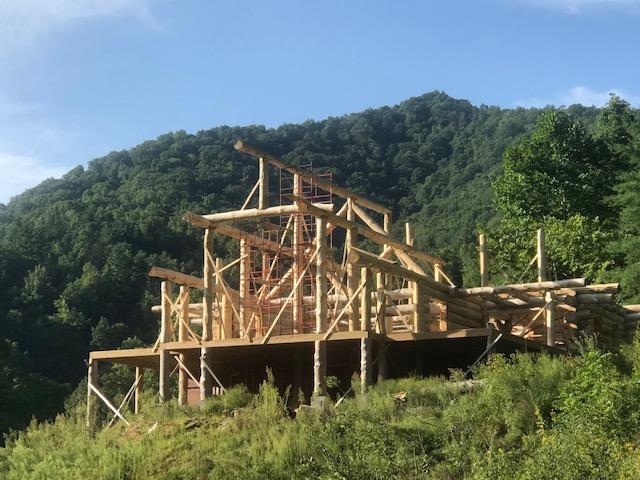 Building the LovEvolution Lodge