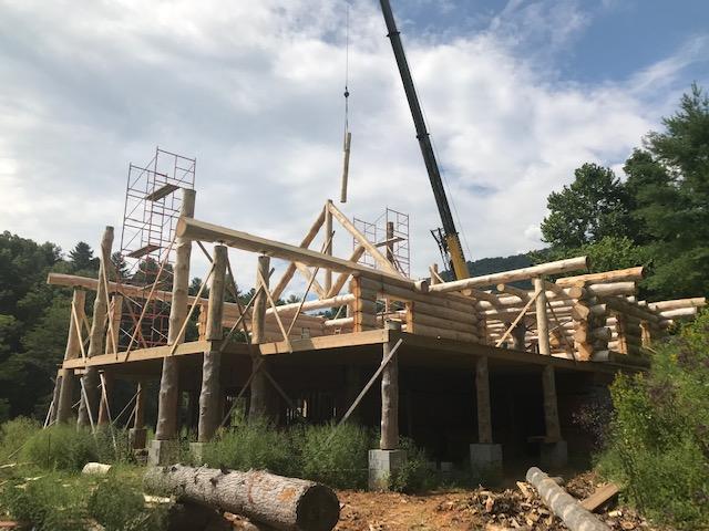 Building the LovEvolution Lodge